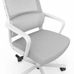 Promo ✨ Executive Chairs Furniture Of America Schmid Height Adjustable Swivel Office Chair - Gray ⭐ -Office & Desk Chairs Sales detail4ENLB5534