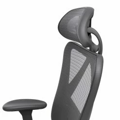 Coupon 😍 Task Chairs Furniture Of America Linthicum Height Adjustable Office Chair - Black 🥰 -Office & Desk Chairs Sales detail4ENLB5572