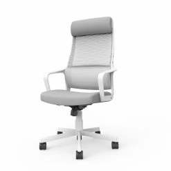 Promo ✨ Executive Chairs Furniture Of America Schmid Height Adjustable Swivel Office Chair - Gray ⭐