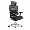 Cheap 👏 Executive Chairs Eurotech Ergohuman Elite High-Back Chair 👍