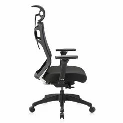 New 🤩 Task Chairs Furniture Of America Fitchman Height Adjustable Ergonomic Office Chair 🤩 -Office & Desk Chairs Sales scaleENLB5603